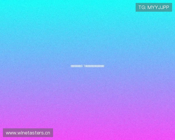 九玄免费版旧版9.1深度解析与使用技巧全面指南